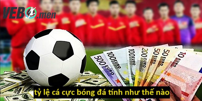 Tận dụng tính năng cược cơ bản của nhà cái